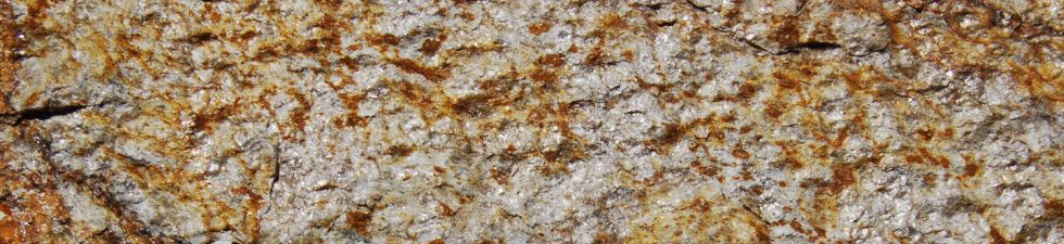 Gold Quartzite Flagging