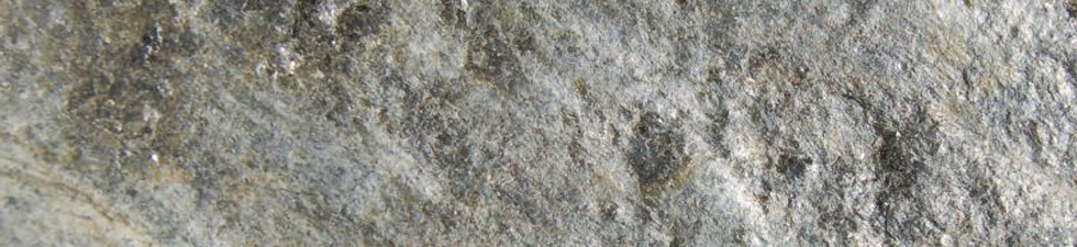 Quartzite Silver Flagging